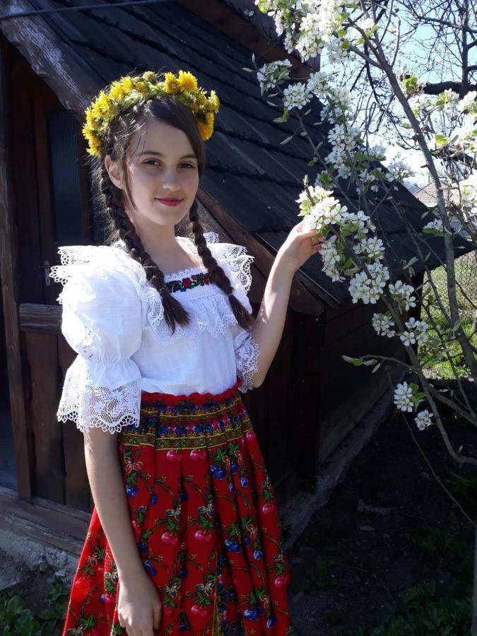 Pensiunea Maria Sighetu Marmaţiei 外观 照片